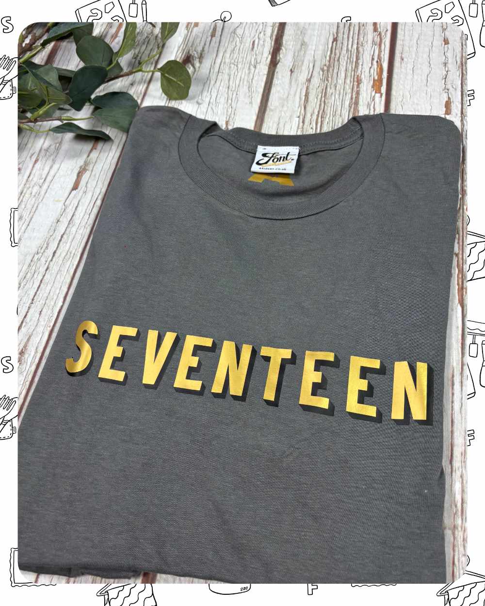 Ready To Ship: Unisex Asphalt T-Shirt- Seventeen- Size M