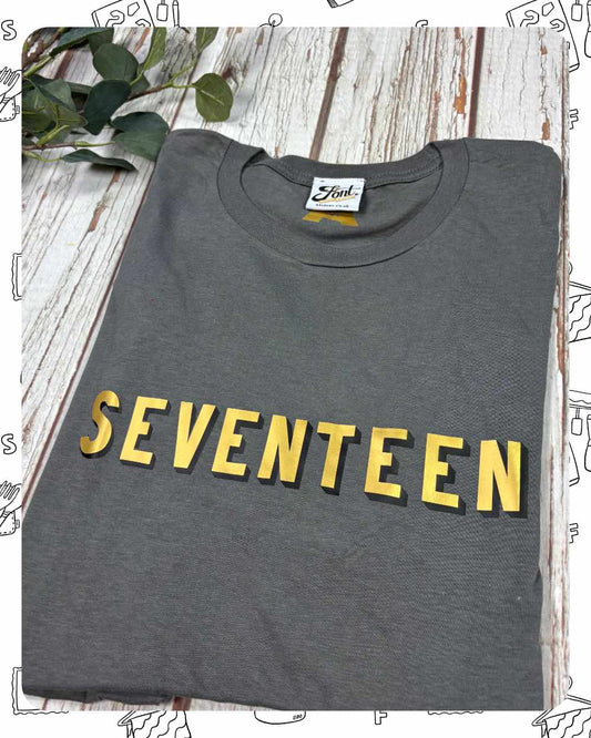 Ready To Ship: Unisex Asphalt T-Shirt- Seventeen- Size M